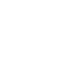 Expert System Design Solutions