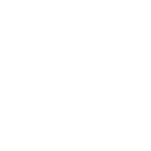 Professional Technical Support Team